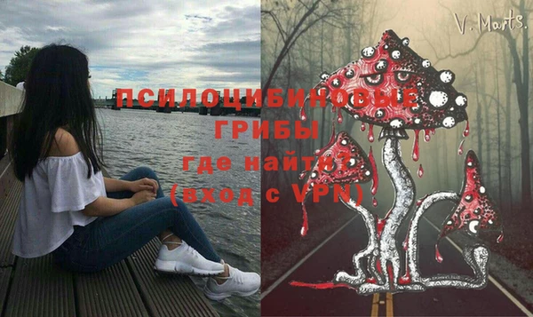твердый Балахна