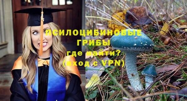 каннабис Баксан