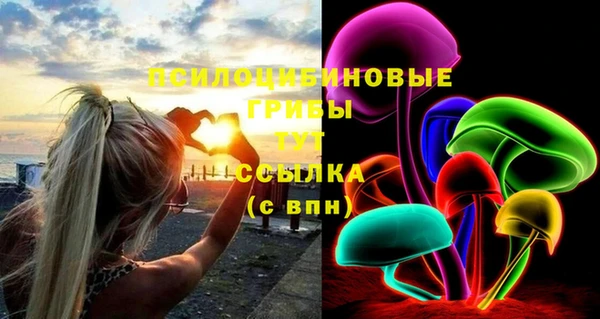 твердый Балахна