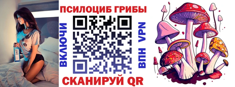 Галлюциногенные грибы Cubensis Балтийск